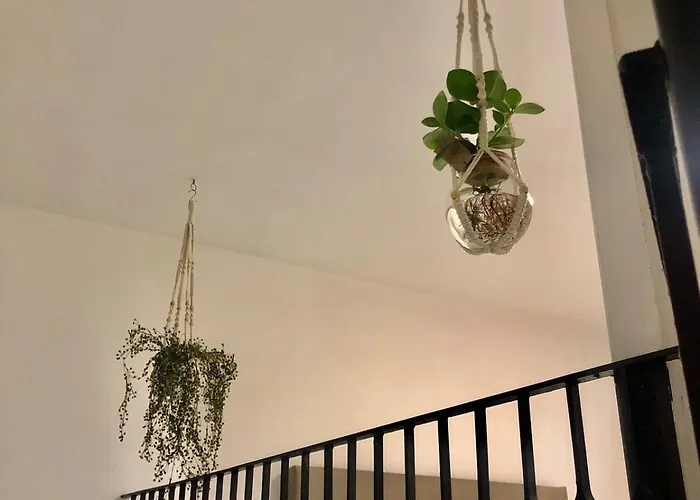 Gioia S House * Napoli